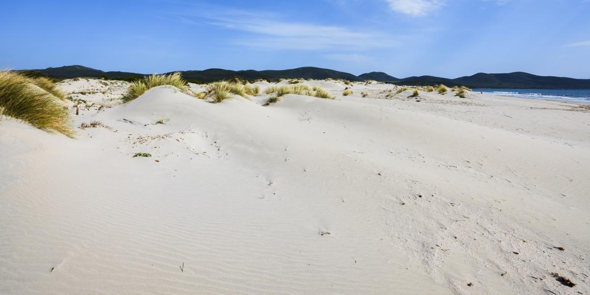 Alla scoperta di Porto Pino