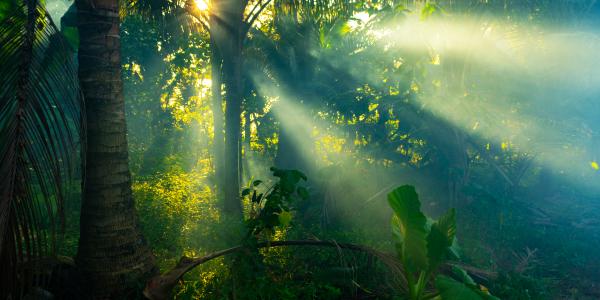 Dove dormire in Thailandia? Scopri Khao Lak