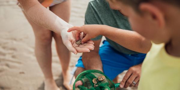 Riviera Maya e l’antico Messico con bambini