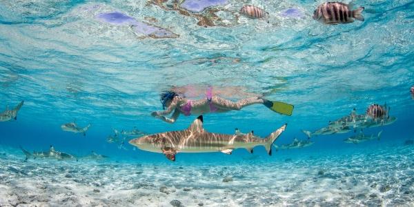 Sola di Holbox: quando andare
