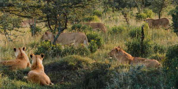 Il centro di conservazione dei rettili di Malindi