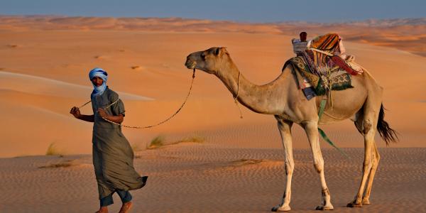 L’oasi di Siwa: un angolo di tranquillità e storia