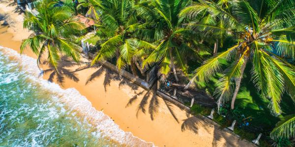 Quando andare in Sri Lanka