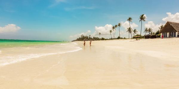 Tra natura e mare in Kenya