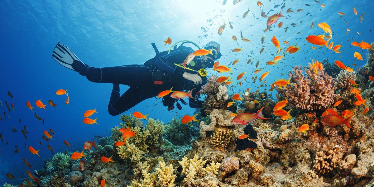 Visitare il Mar Rosso in Egitto