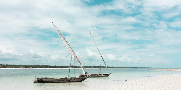 Dove andare a dicembre in vacanza? Scopri il Kenya