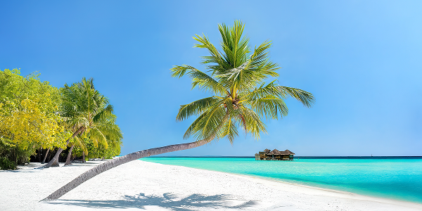 Dove andare al mare a dicembre: le Maldive