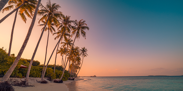 Dove andare a novembre? Scopri le Maldive