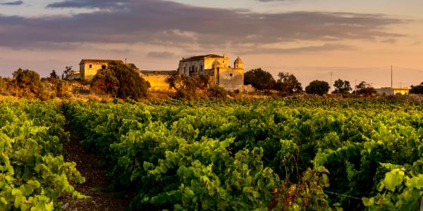 Cosa vedere in Sicilia? Marsala e le Saline