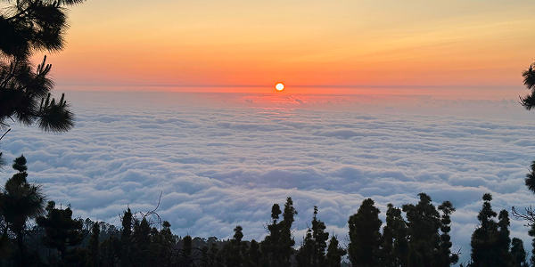 Mirador de Chipeque: escursioni a Tenerife tra le nuvole