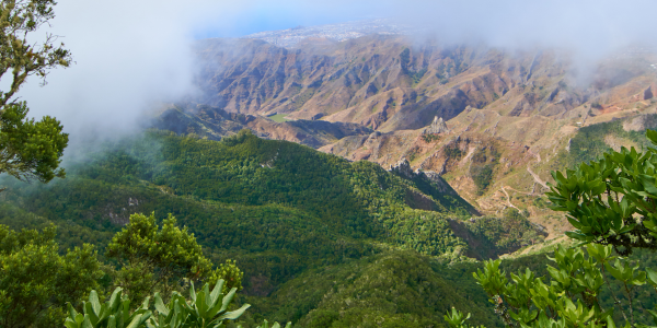 Trekking a Tenerife: Pico del Ingles e la foresta incantata