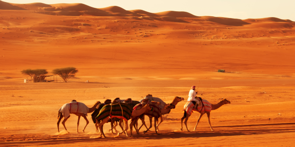 Cosa fare nel deserto dell’Oman durante il giorno
