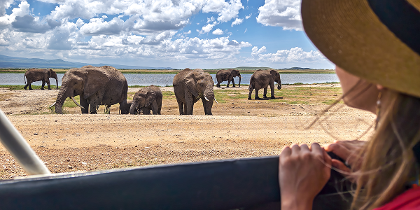 La magia della savana africana tra immagini e incontri indimenticabili