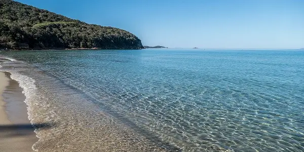 Dove si trova Cala Violina e cosa sapere