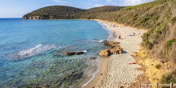 Prenotare Cala Violina: come funziona e perché è importante