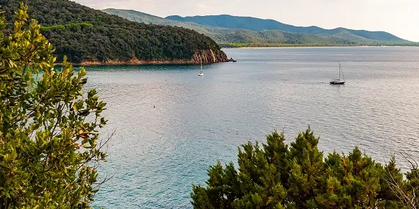 Parcheggio Cala Violina: dove lasciare l’auto senza stress