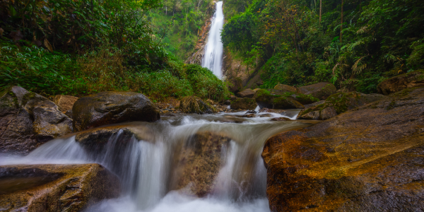 Natura e avventura a Chiang Rai: parchi e trekking