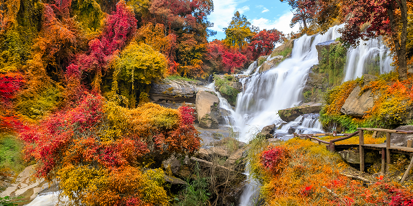 Natura e relax: il Parco Nazionale Doi Inthanon