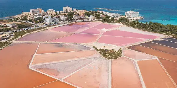 Cose da vedere a Formentera: le saline rosa