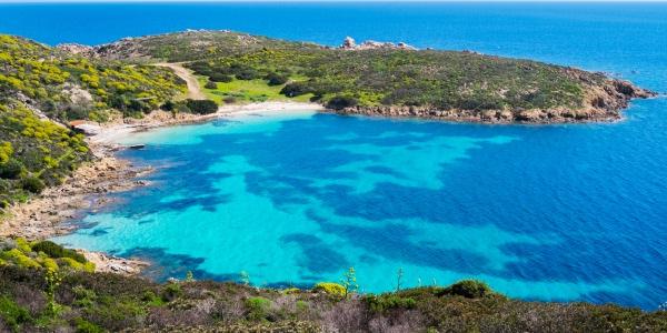 Cosa vedere in Sardegna: parco dell'Asinara