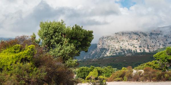 Scopri il Parco del Montalbo