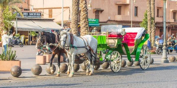 Quartieri emergenti: scopri il lato autentico di Marrakech