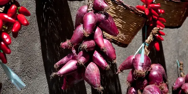  Cosa fare vicino agli hotel sul mare