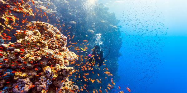 Mar Rosso: relax garantito anche a maggio