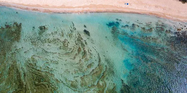 L’incanto di Marina di Pescoluse