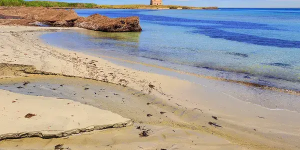 La bellezza incontaminata di Torre Guaceto