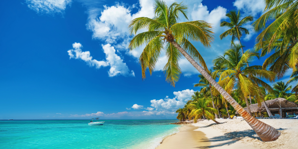 Dove andare con il passaporto? Repubblica Dominicana