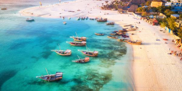 Escursioni a Zanzibar: tra natura e spezie