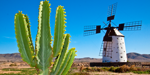 Stagione dei venti a Fuerteventura
