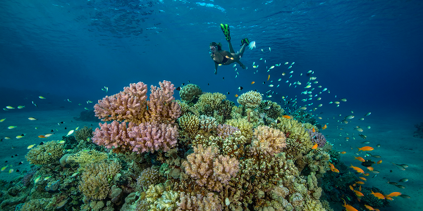 Attività da non perdere sulle spiagge di Hurghada