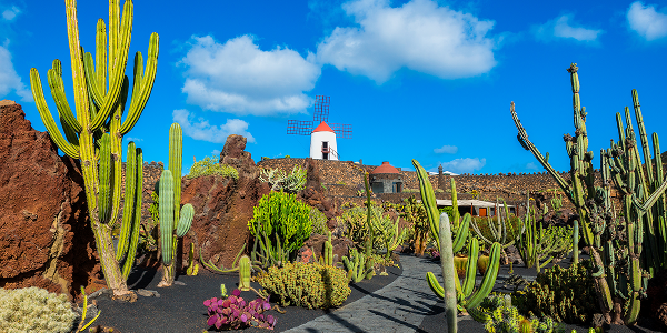 Consigli pratici per un viaggio perfetto