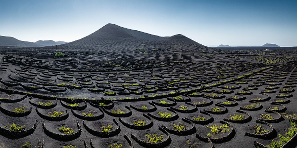 Tesori enologici di Lanzarote: la Malvasia Volcanica
