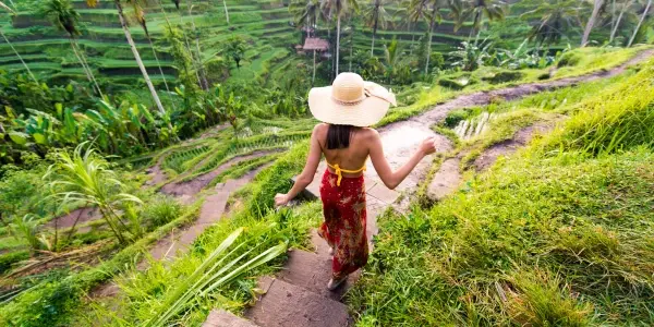 Quando non andare a Koh Samui