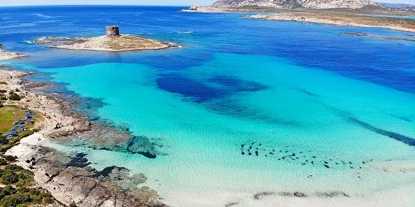 Spiagge più belle della Sardegna: La Pelosa