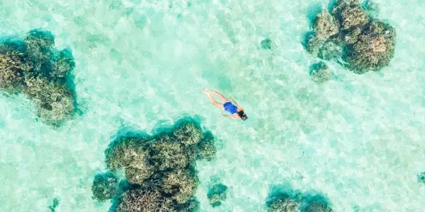 Snorkeling e immersioni alle Maldive: cosa sapere