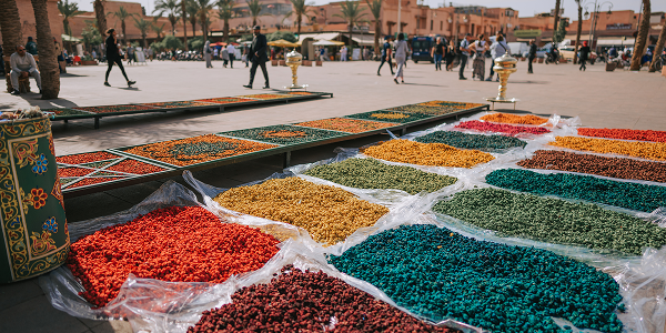 Cosa visitare in Marocco con bambini?