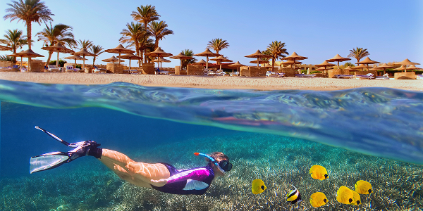 Marsa Alam: pericoli reali o percepiti?