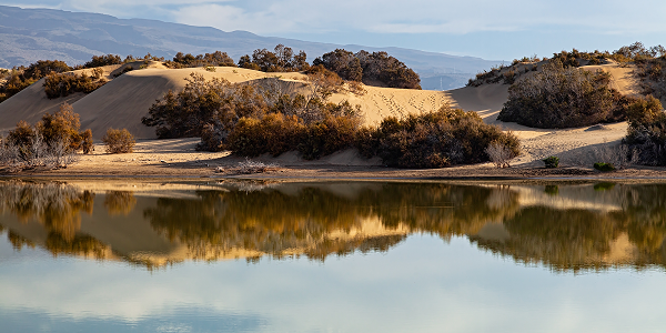 L’oasi naturalistica e La Charca