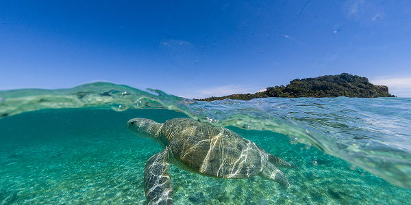  Cosa fare a Nosy Iranja
