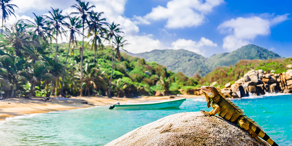 Santa Marta, Colombia: cosa sapere