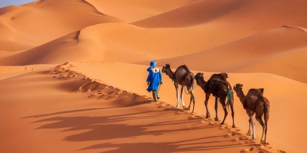 sperienze culinarie imperdibili a Sharm el-Sheikh