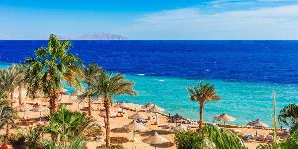 Conclusione: un viaggio tra i sapori del Sinai