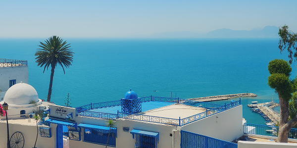 Cosa vedere a Sidi Bou Said