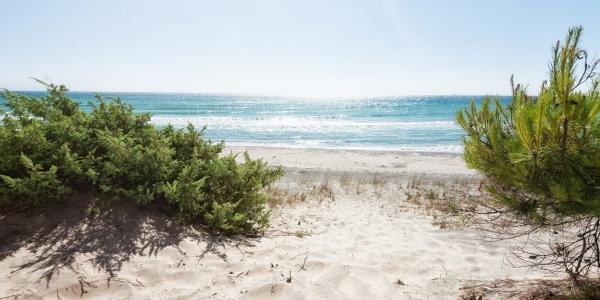 Spiaggia Alimini e i laghi: un ecosistema unico
