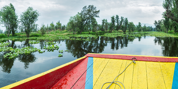 Oltre la Festa: I Chinampas e la Storia