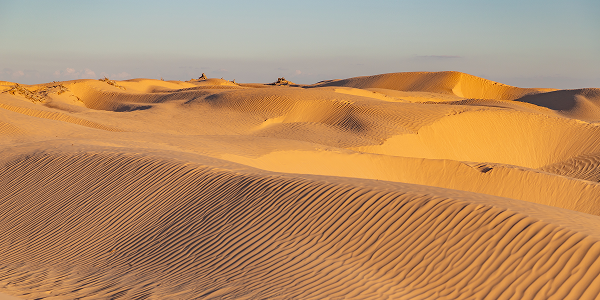 Esplorare la Tunisia tra oasi e deserto